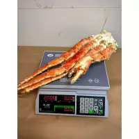 Клешни камчатского краба L5 изображение 2024 09 26 121720398