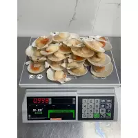 изображение 2024 09 26 124440116